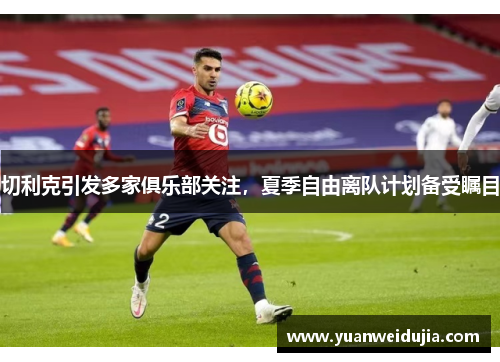切利克引发多家俱乐部关注，夏季自由离队计划备受瞩目