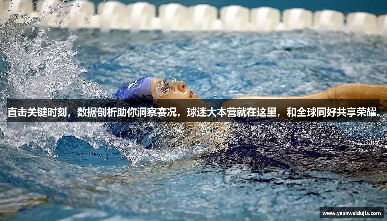 点点官方网站下载网址是什么